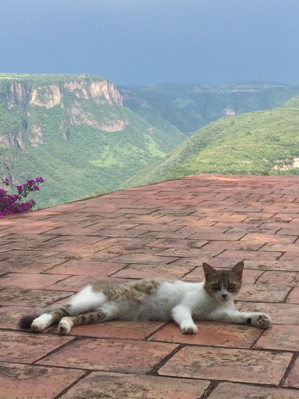 foto:Isidro López Arias - lo hecho en México