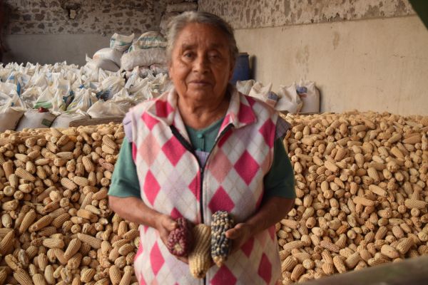 foto:Natalia Elizabeth Juárez  Hernández - lo hecho en México