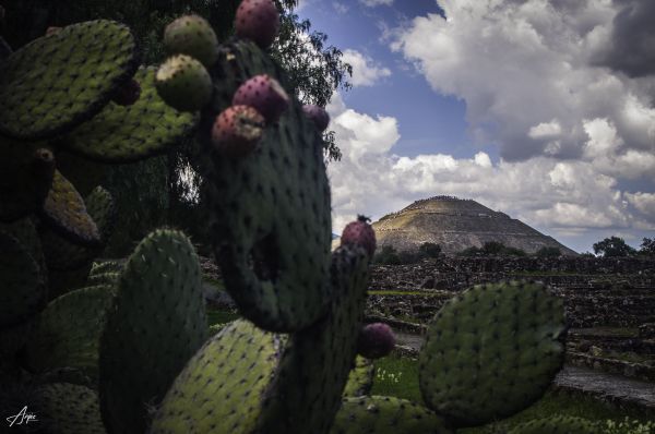 foto:Pedro angel Aguilar Barbosa - lo hecho en México