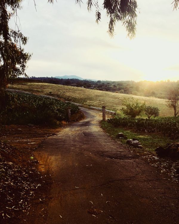 foto:Alan Mendoza  Ruiz  - lo hecho en México