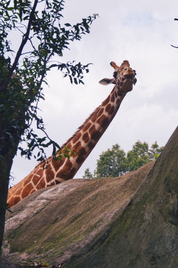foto:Paula Ogando Guerra - lo hecho en México