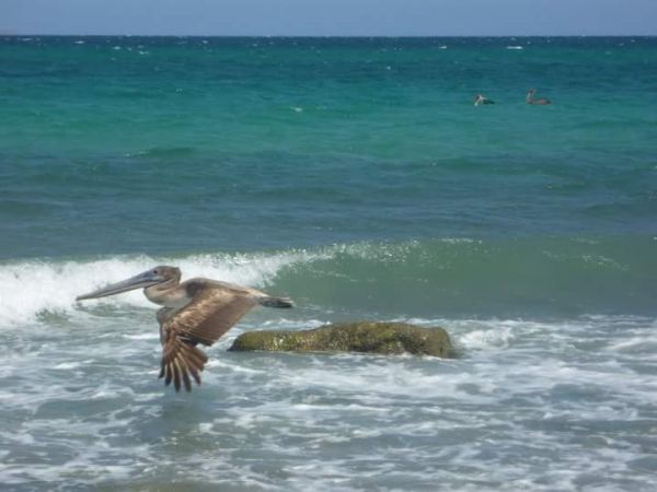 foto:Inés Esther Rodriguez Arredondo  - lo hecho en México
