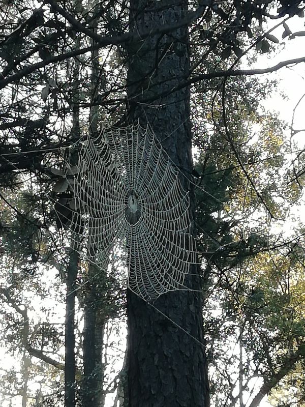 foto:Omar Guillermo  Cabrera  Contreras - lo hecho en México