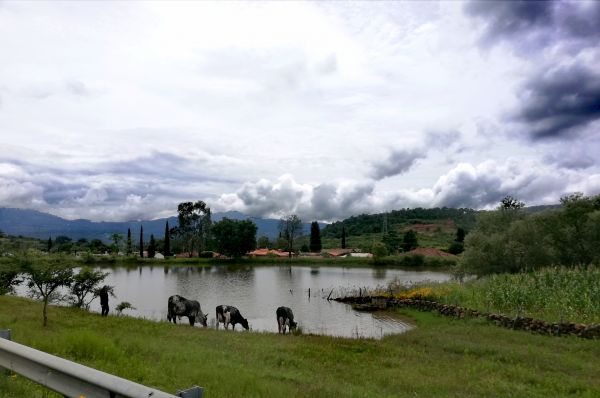 foto:Cristina Barajas  Cárdenas  - lo hecho en México
