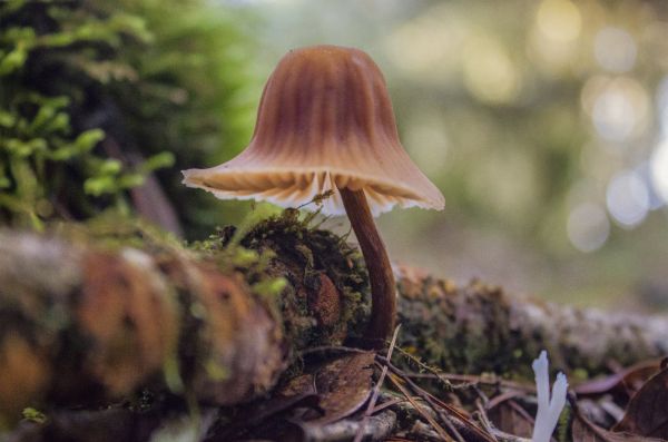 foto:Karla  Espina Ayuso - lo hecho en México