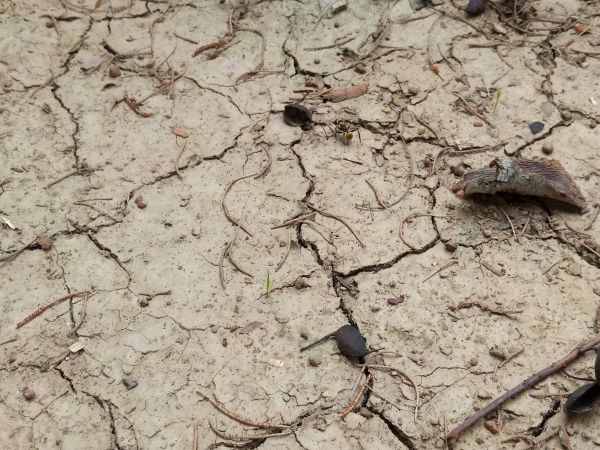 foto:Osvaldo Jiovanni  Jarvio Solís  - lo hecho en México