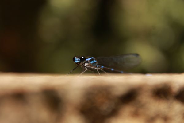 foto:Citlalli Abigail Pérez López - lo hecho en México