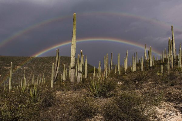 foto:pedro Berruecos Vila - lo hecho en México