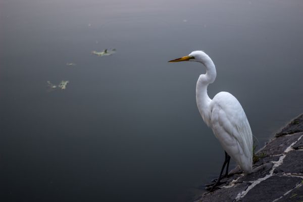 foto:Oziel Martinez Aguilar - lo hecho en México