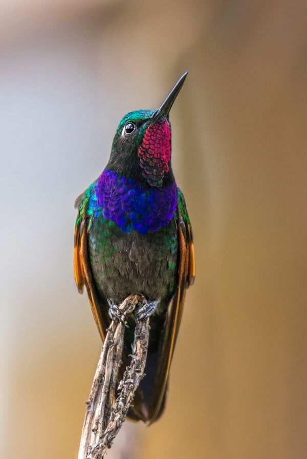 foto:OMAR ISMAEL LAREDO DAZA - lo hecho en México