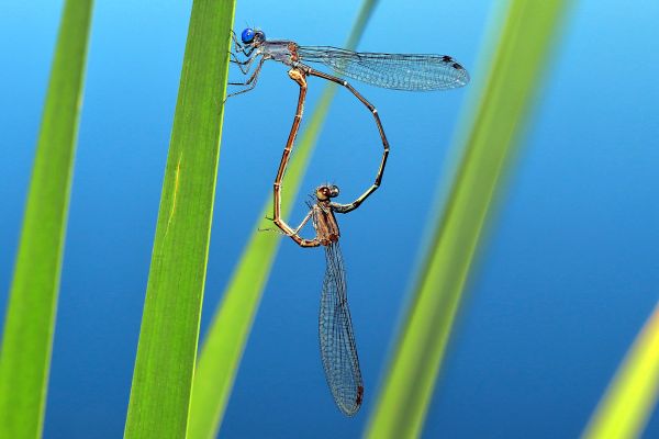 foto:oscar omar soto vizcaino - lo hecho en México