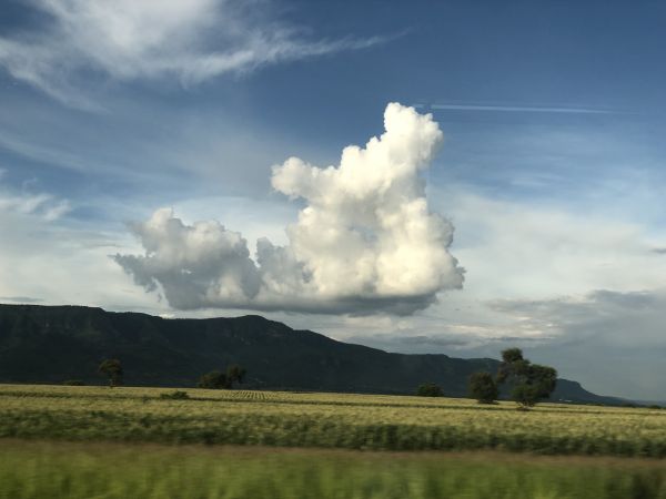 foto:Carlos Badillo Herandez - lo hecho en México