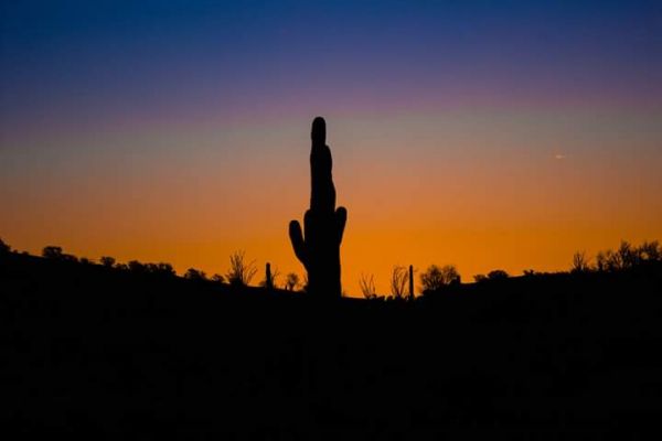 foto:Jaime Garcia Zaragoza - lo hecho en México