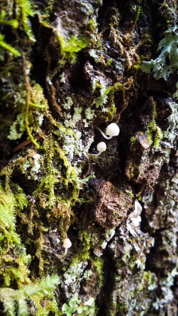 foto:Uriel Herrera Espinosa - lo hecho en México