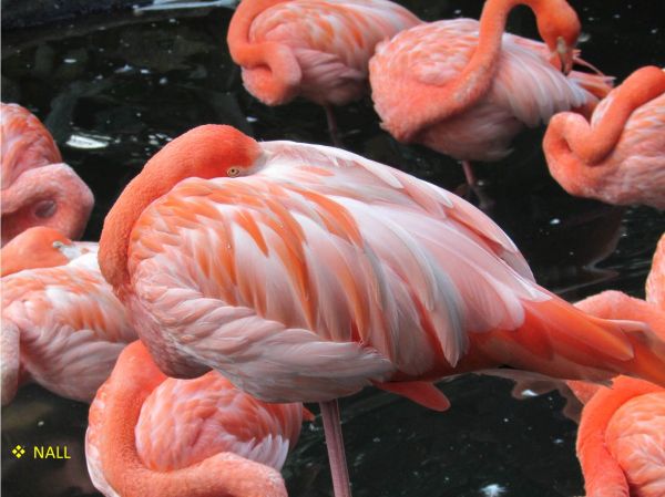 foto:NORBERTO ABEL LOPEZ LUNA - lo hecho en México