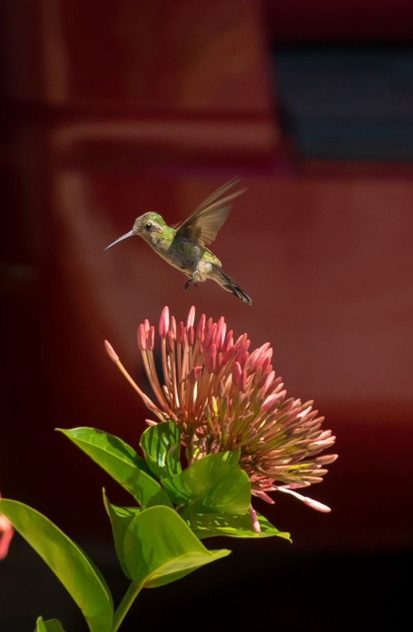 foto:Marisol García Romero - lo hecho en México