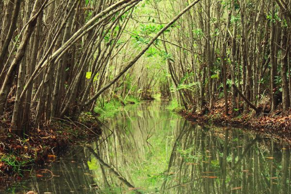 foto:Juan Pablo  Passarelli  Serrano  - lo hecho en México