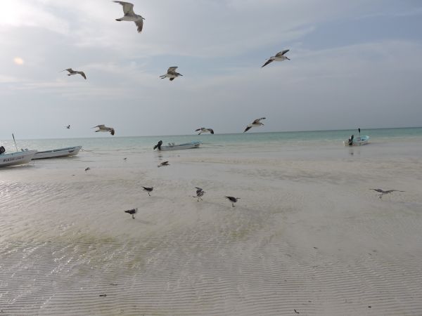 foto:Claudia Daniela González  Araujo - lo hecho en México