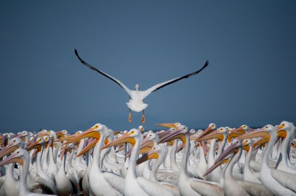foto:Simbad Faryd Muñiz Alanis - lo hecho en México