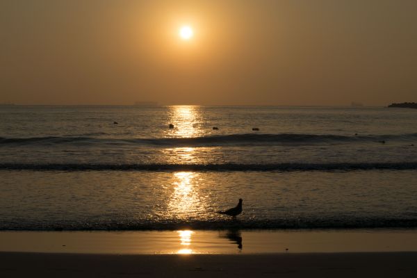 foto:Francisco Alejandro  Pérez Li-ho - lo hecho en México