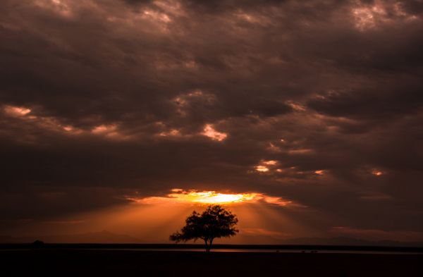 foto:Carlos  Esquivel  Soto  - lo hecho en México