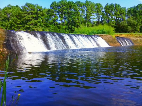 foto:Rodolfo Torrez  Rodríguez  - lo hecho en México