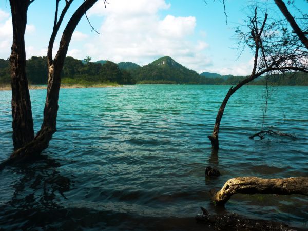 foto:Pili  Díaz  Guzmán - lo hecho en México