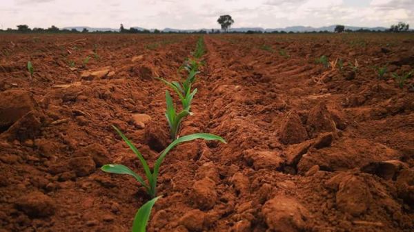 foto:Magnolia Cortés Calzada - lo hecho en México