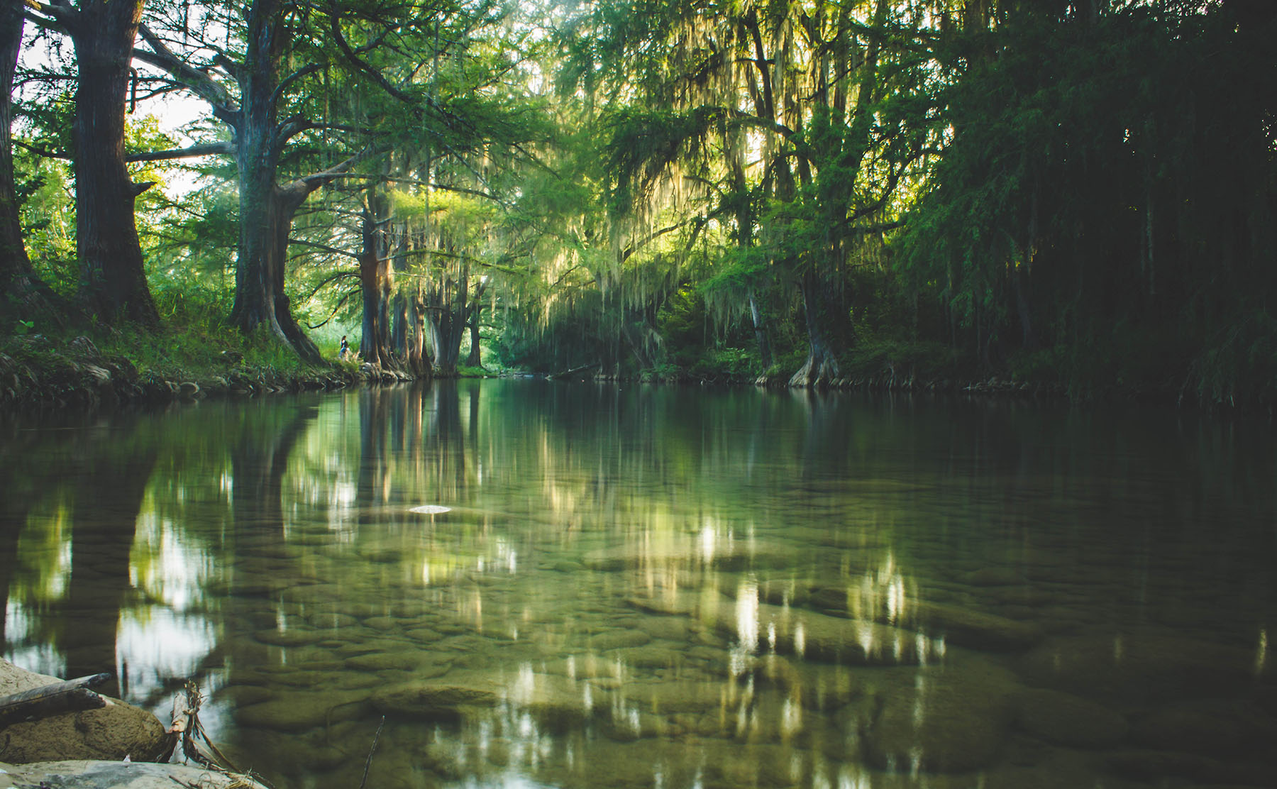 foto:Rodolfo Javier Elizondo Flores - lo hecho en México