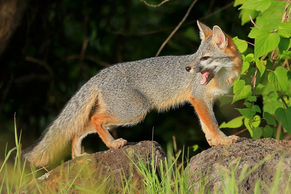 foto:Ramon Espinosa Torres - lo hecho en México