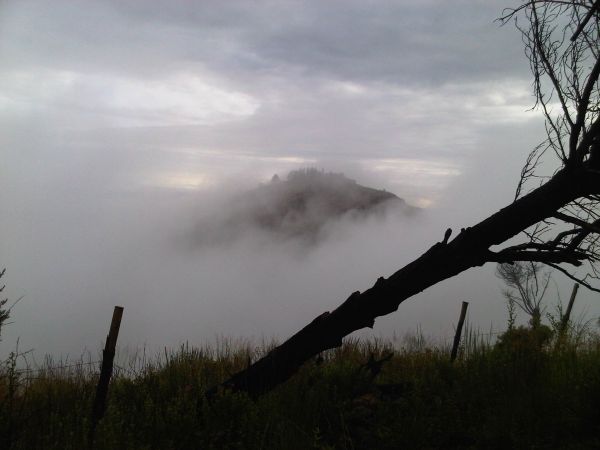 foto:demetrio flores elizalde - lo hecho en México
