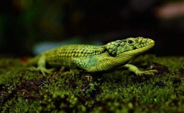 foto:Karlo Antonio Soto  Huerta - lo hecho en México