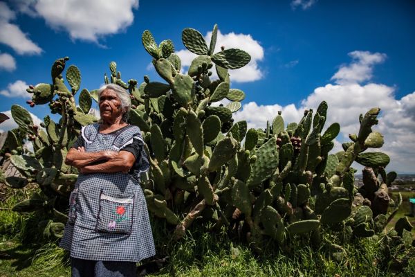 foto:Jose Hernandez Medina - lo hecho en México