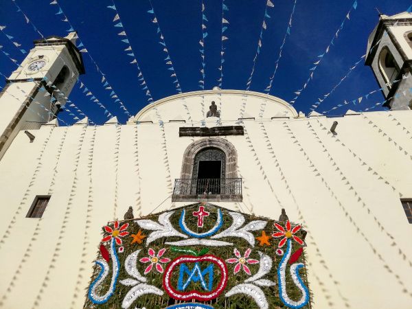 foto:ANA BENITA GONZALEZ  MORALES - lo hecho en México