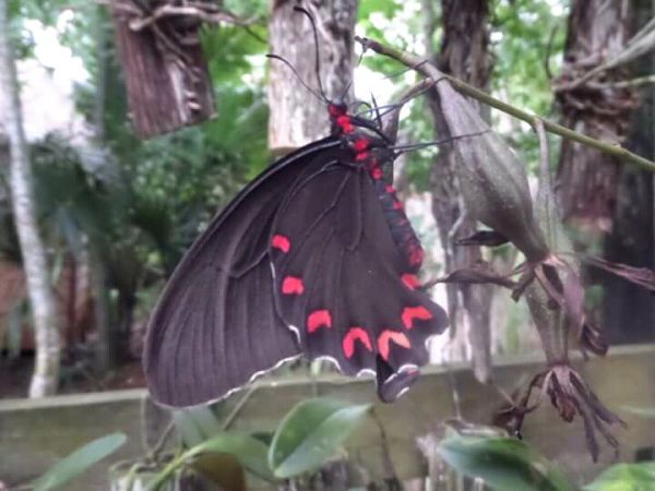 foto:Pamela Maillard  Meléndez  - lo hecho en México