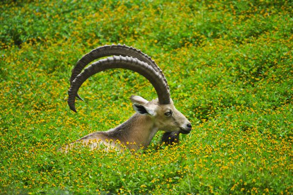 foto:Nicole Rochín Hernández - lo hecho en México