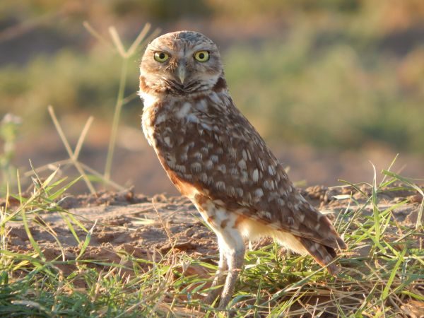foto:Berenisse Herrera Calderón - lo hecho en México