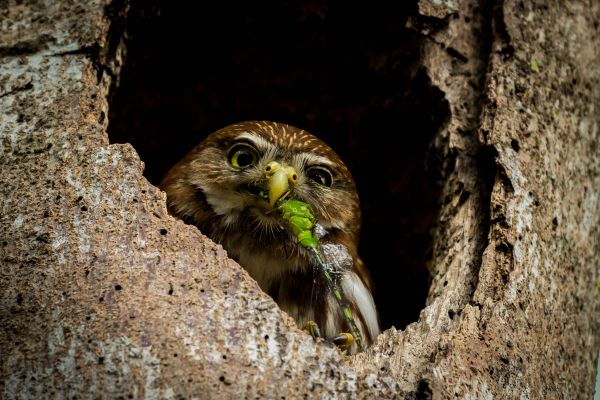 foto:LORENA JIMENEZ GABER - lo hecho en México