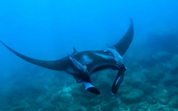 foto:Oswaldo Guzman Garcia  - lo hecho en México