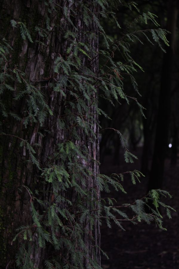 foto:Raul Salinas Lopez - lo hecho en México