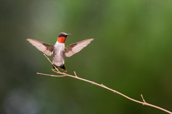 foto:Edgar Miceli Mendez - lo hecho en México