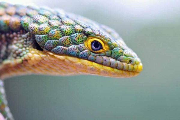 foto:gustavo  eduardo Toledo Albarran - lo hecho en México