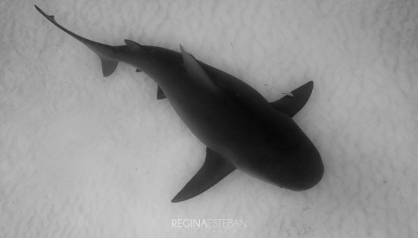 foto:Regina Esteban De Prado - lo hecho en México