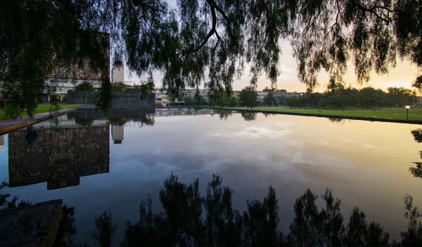 foto:Jose Antonio Sosa  Fernandez - lo hecho en México