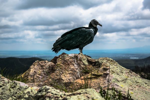 foto:damian rosado castellanos - lo hecho en México