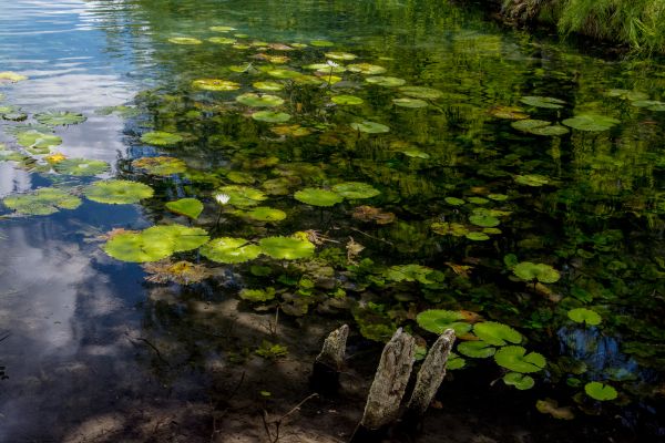 foto:Fausto Galvez Santos - lo hecho en México