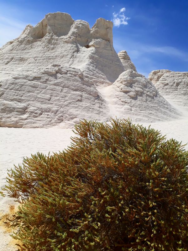 foto:Sandra Flores Terrazas - lo hecho en México