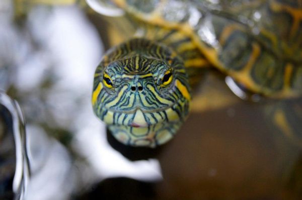 foto:Sandra Yajaira Martínez Delgado - lo hecho en México