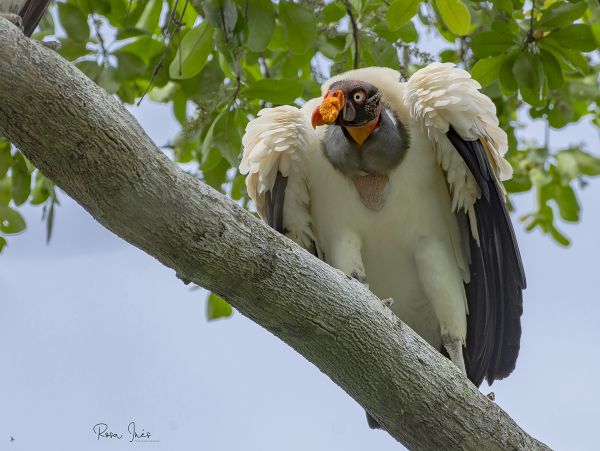 foto:Rosa Inés Aguilar Amar - lo hecho en México