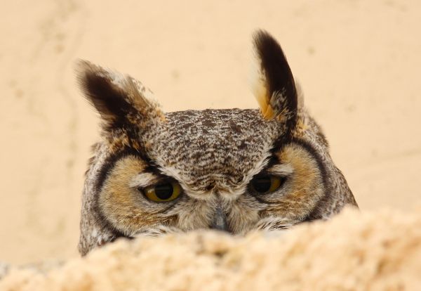 foto:Adriana Herlinda Cabral Frías - lo hecho en México